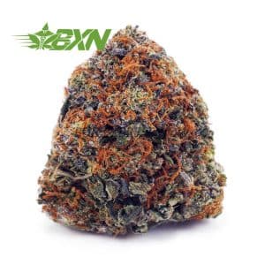 Buy Holy Grail AAA at BudExpressNOW Online Shop.