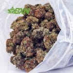 Buy Holy Grail AAA at BudExpressNOW Online Shop.