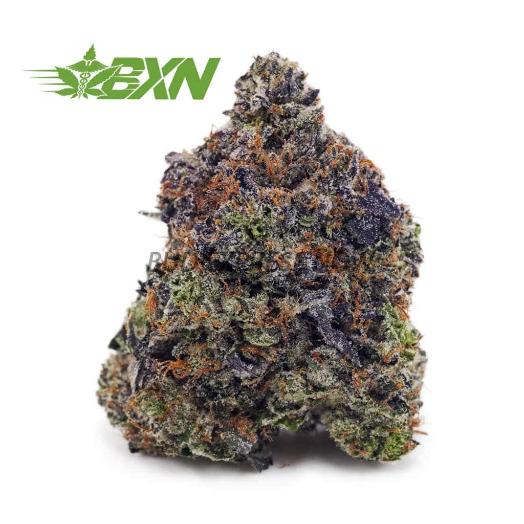 D859A1-ISLANDPINKKUSH-BXN Buy Island Pink Kush (Craft) at BudExpressNOW Online Shop.