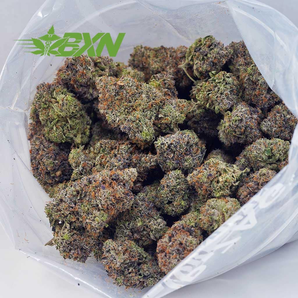 D859A2-ISLANDPINKKUSH-BXN Buy Island Pink Kush (Craft) at BudExpressNOW Online Shop.