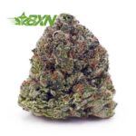 Buy Master Kush Ultra AAAA at BudExpressNOW Online Shop