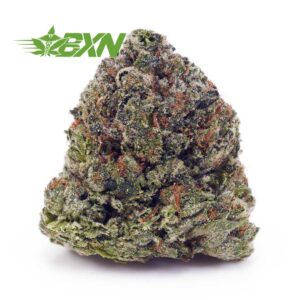 Buy Master Kush Ultra AAAA at BudExpressNOW Online Shop