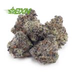 Buy Astro Pink AAAA (Popcorn) at BudExpressNOW Online Shop