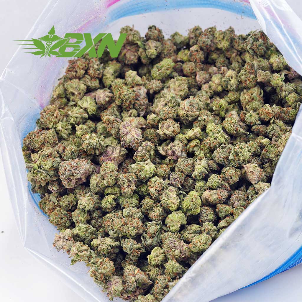 EA LEMONSKUNKPOPCORN BXN