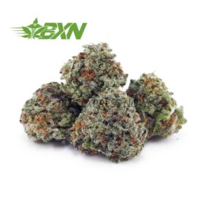 Buy Kush berry AAAA (Popcorn) at BudExpressNOW Online