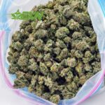 Buy Kush berry AAAA (Popcorn) at BudExpressNOW Online