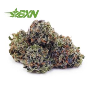 Buy OG Skunk AAAA (Popcorn) at BudExpressNOW Online Shop