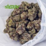 Buy Master Kush Ultra AAAA at BudExpressNOW Online Shop