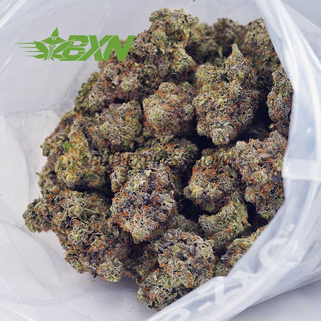 Buy Master Kush Ultra AAAA at BudExpressNOW Online Shop