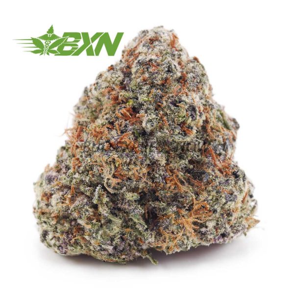 Buy Blueberry OG AAAA at BudExpressNOW Online Shop