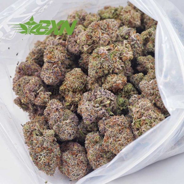 Buy Blueberry OG AAAA at BudExpressNOW Online Shop