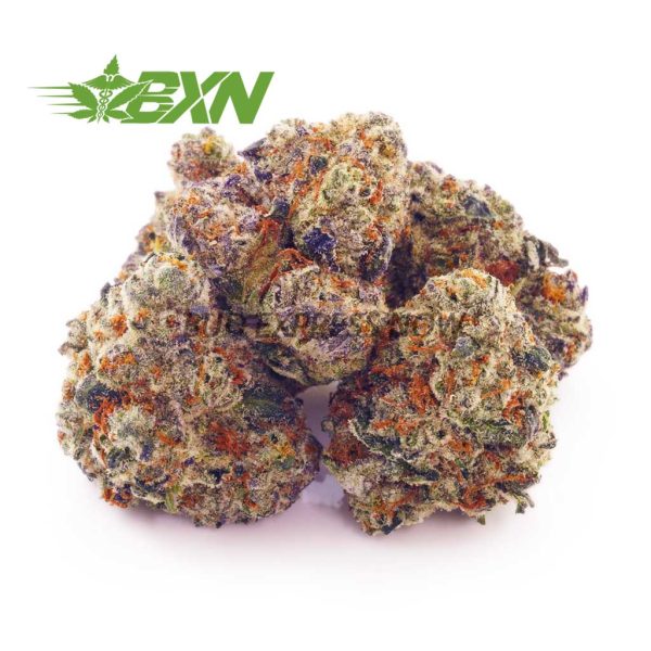 Buy God Bud AAAA (Popcorn) at BudExpressNOW Online Shop