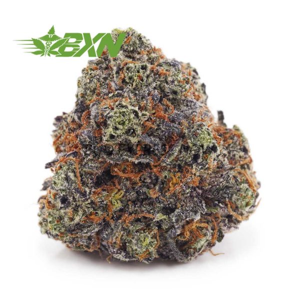 Buy Snoop Dogg OG AAAA at BudExpressNOW Online Shop