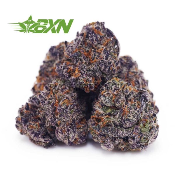 Buy Purple Gelato AAAA at BudExpressNOW Online Shop