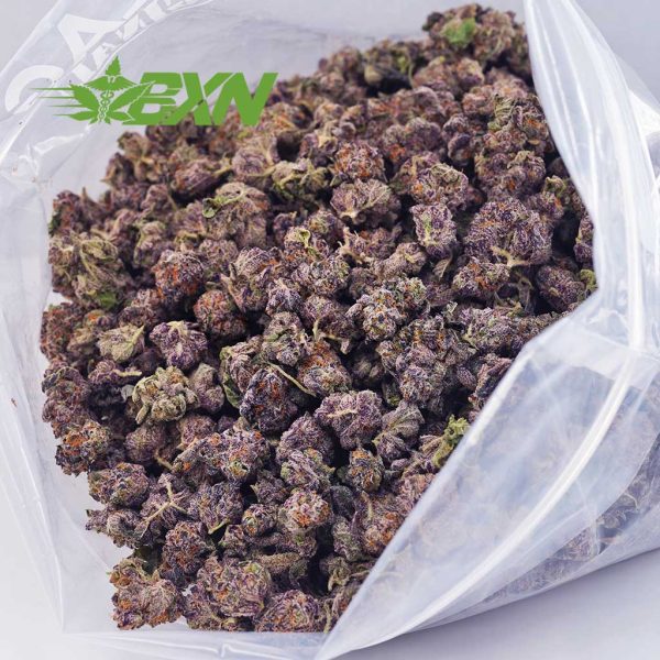 Buy Purple Gelato AAAA at BudExpressNOW Online Shop