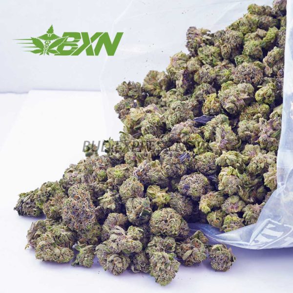 Buy Hindu Kush AAAA (Popcorn) at BudExpressNOW Online Shop