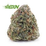 Buy Pineapple Express AAA at BudExpressNOW Online Shop.