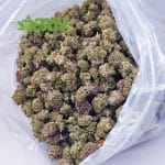 Buy El Diablo AAAA (Popcorn) at BudExpressNOW Online Shop.