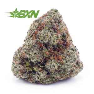 Buy Gorilla Glue #4 AAA at BudExpressNOW Online Shop