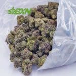 Buy Galactic Death Star AAAA at BudExpressNOW Online Shop.