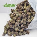 Buy Runtz AAAA (Popcorn) at BudExpressNOW Online Shop