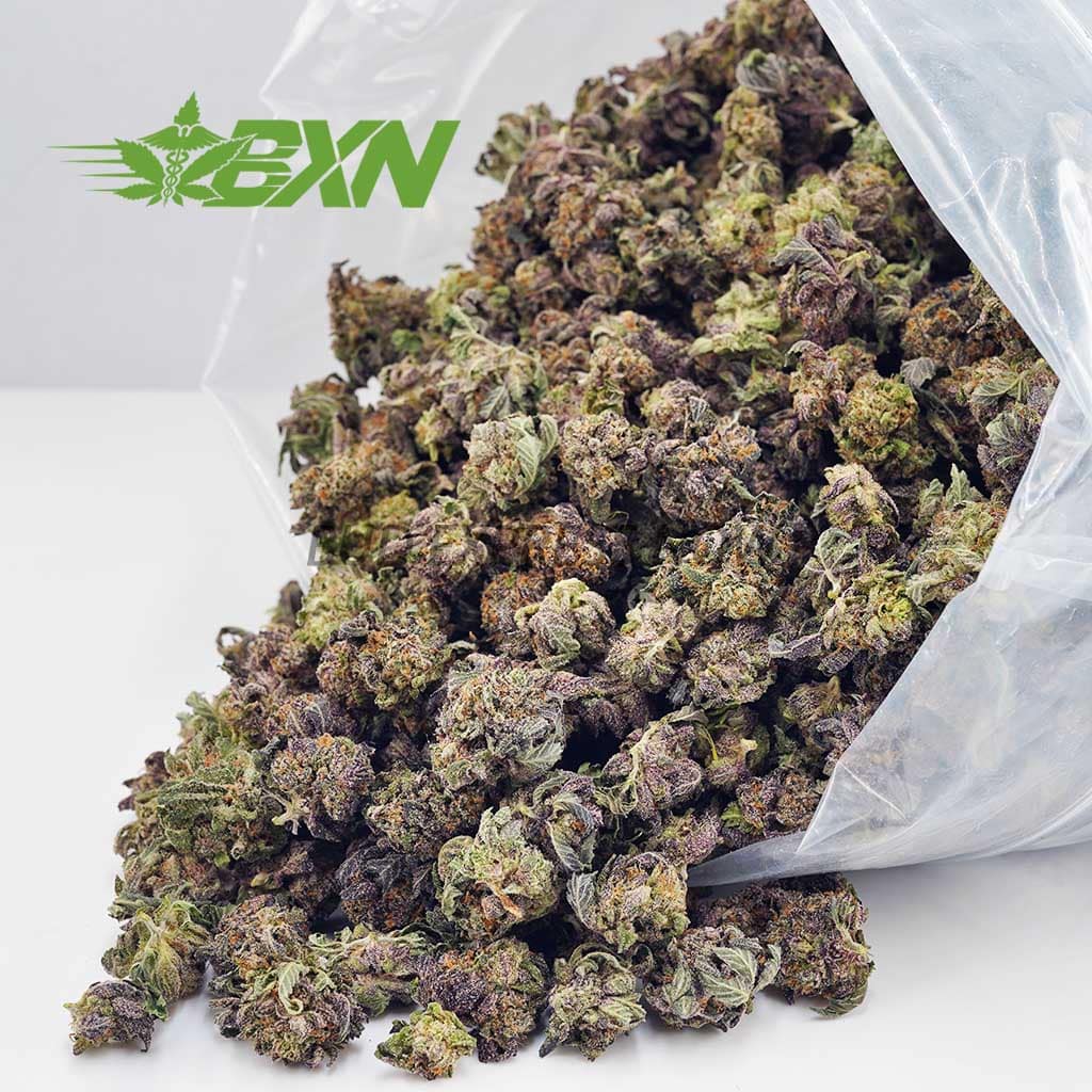 D600A2-RUNTZPOPCORN-BXN Buy Runtz AAAA (Popcorn) at BudExpressNOW Online Shop