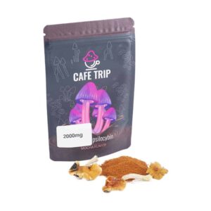 VA CAFETRIPMG MOCHA
