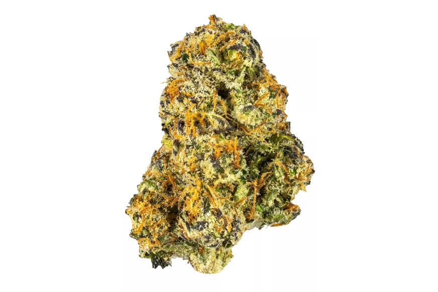 Fruity Pebbles OG strain gives you a blend of fresh fruit & a high THC kick in your stash. Here’s why you need to try out this strain.