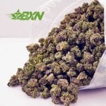 Buy Pink Goo AAAA (Popcorn) at BudExpressNOW Online shop