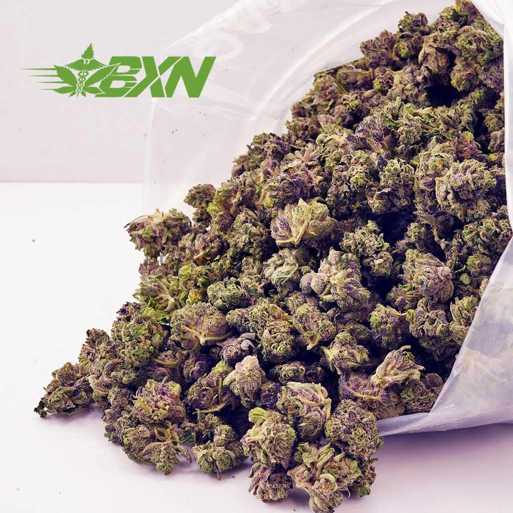 D556A2-PINKGOOPOPCORN-BXN Buy Pink Goo AAAA (Popcorn) at BudExpressNOW Online shop