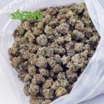 Buy Cosmic Cookies AAA (Popcorn) at BudExpressNOW Online Shop