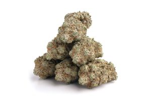 Discover the out-of-this-world effects of the potent Zombie Kush strain & learn its origins, THC levels & where to buy weed online.