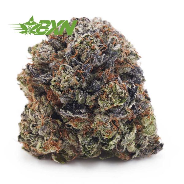 Buy Alien Space Cookies (Craft) at BudExpressNOW Online.