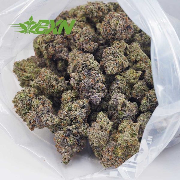 Buy Alien Space Cookies (Craft) at BudExpressNOW Online.