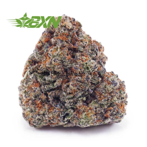 Buy King's Kush AAAA at BudExpressNOW Online Shop