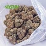 Buy King's Kush AAAA at BudExpressNOW Online Shop