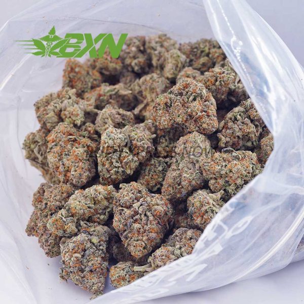 Buy King's Kush AAAA at BudExpressNOW Online Shop