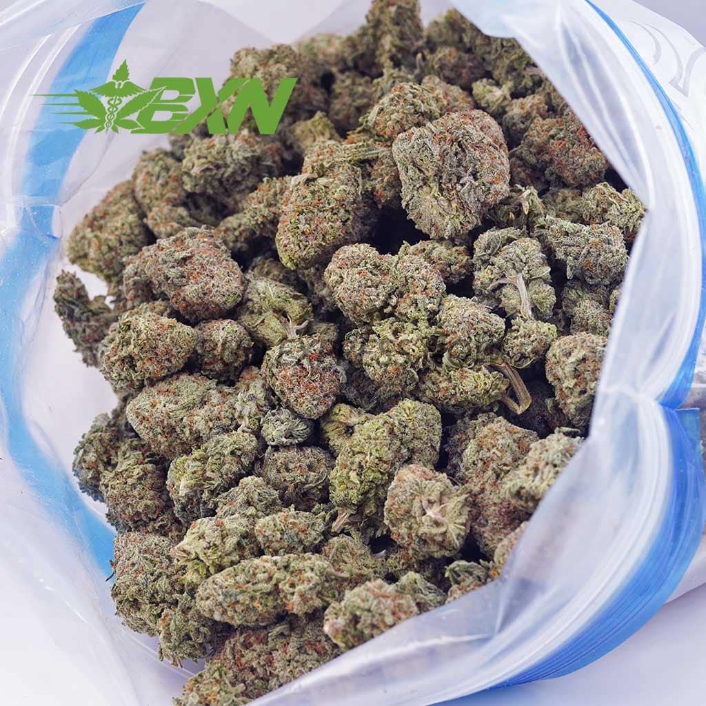 D305A2-OGCHEESE-BXN Buy OG Cheese AA at BudExpressNOW Online Shop