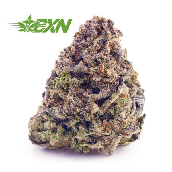 Buy Corleone Kush AA at BudExpressNOW Online Shop.