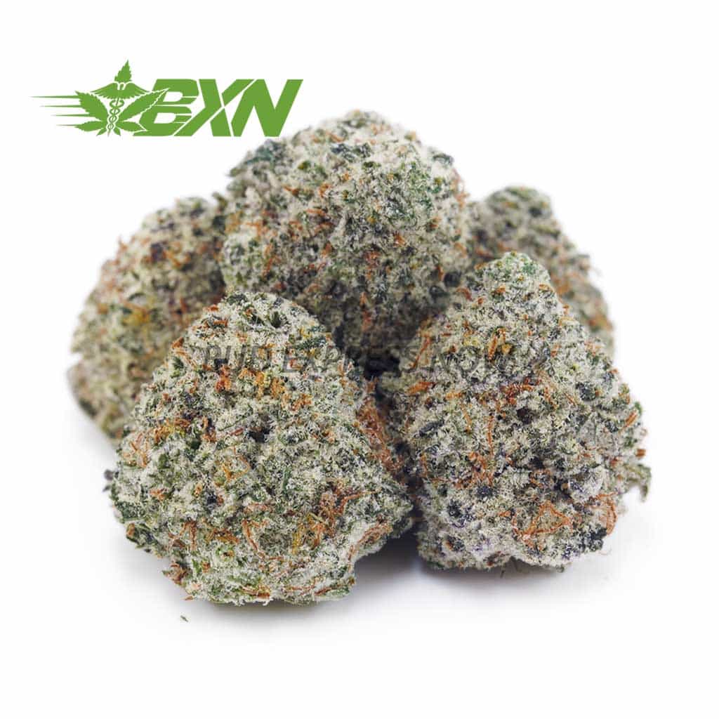 Buy Champagne Kush AAAA (Popcorn) at BudExpressNOW Online Shop.