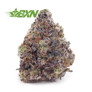 Buy Miracle Alien Cookies (Craft) at BudExpressNOW Online.