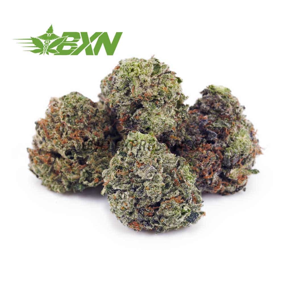 Buy Blue Venom AAAA (Popcorn) at BudExpressNOW Online Shop.