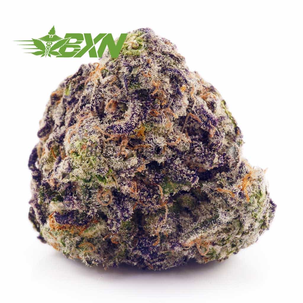 D672A1-TROPICANACOOKIES-BXN Buy Tropicana Cookies AAA at BudExpressNOW Online Shop