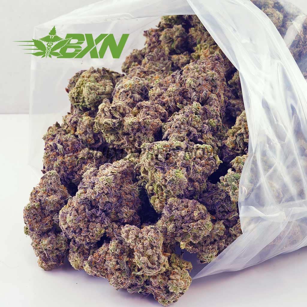 D672A2-TROPICANACOOKIES-BXN