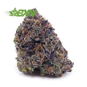 Buy Supreme Blueberry (Craft) at BudExpressNOW Online Shop