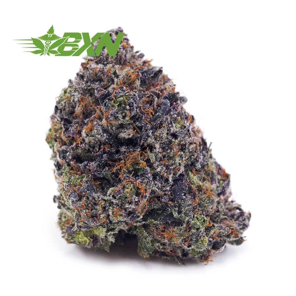 Buy Supreme Blueberry (Craft) at BudExpressNOW Online Shop