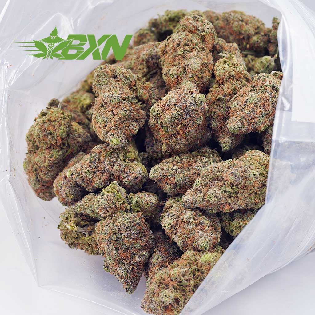 EA WHITESKUNK BXN Buy White Skunk at BudExpressNOW Online Shop