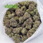 Buy Cotton Candy Kush AAAA at BudExpressNOW Online