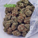 Buy Mendo Cookies AAA at BudExpressNOW Online