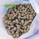 Buy Champagne Kush AAAA (Popcorn) at BudExpressNOW Online Shop